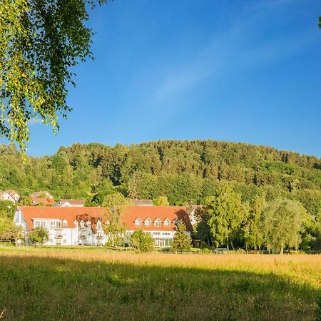 Landhotel Alte Muhle Ostrach Екстер'єр фото